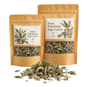 Dried Palestinian Sage